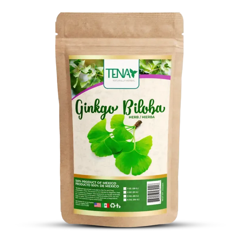 Ginkgo Biloba