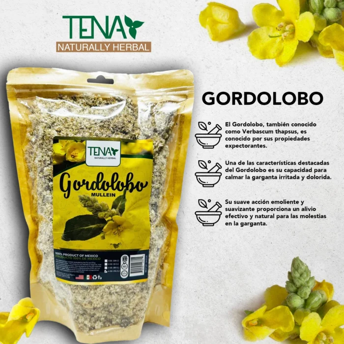 Planta Gordolobo